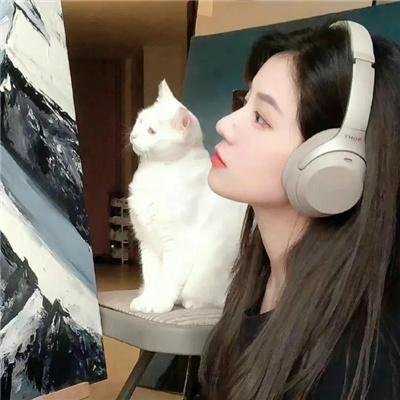 猪圈